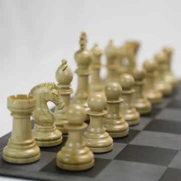 Premium Chess Set - Luxury Ebony & Maple Pieces